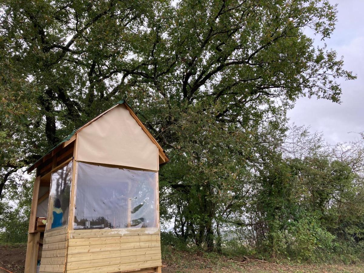Cabane Bivouac Avec Echelle A L'Ombre Des Chenes Idrac-Respailles Exterior foto